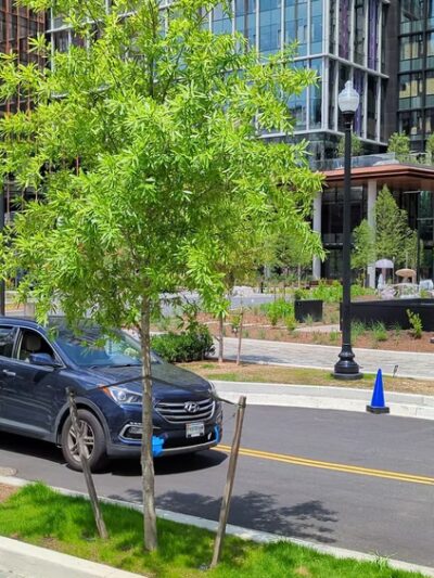 Metropolitan Park - Arlington, VA