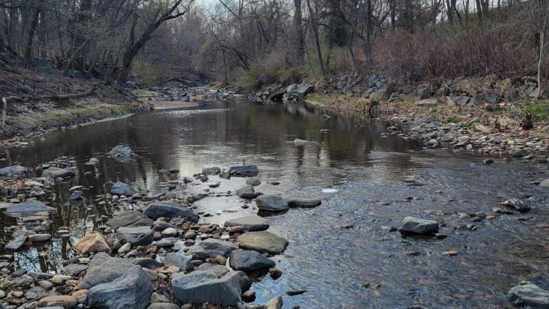 Allie S. Freed Park - Arlington, VA