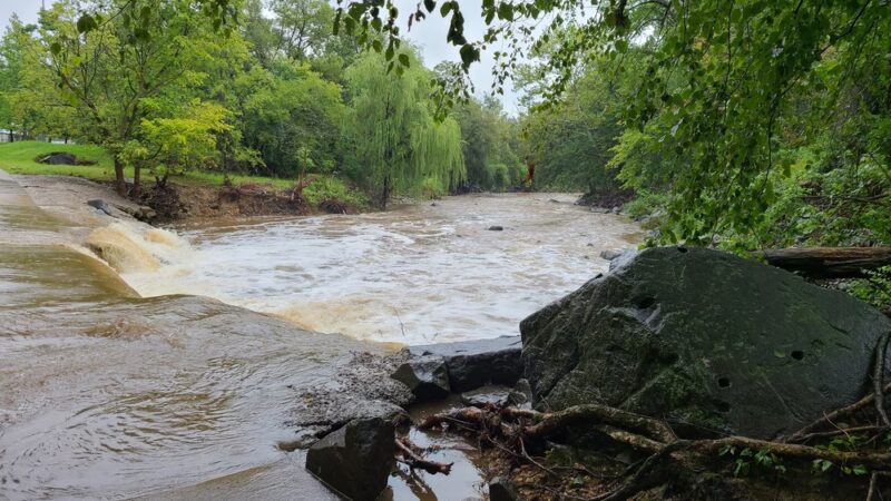 Allie S. Freed Park - Arlington, VA