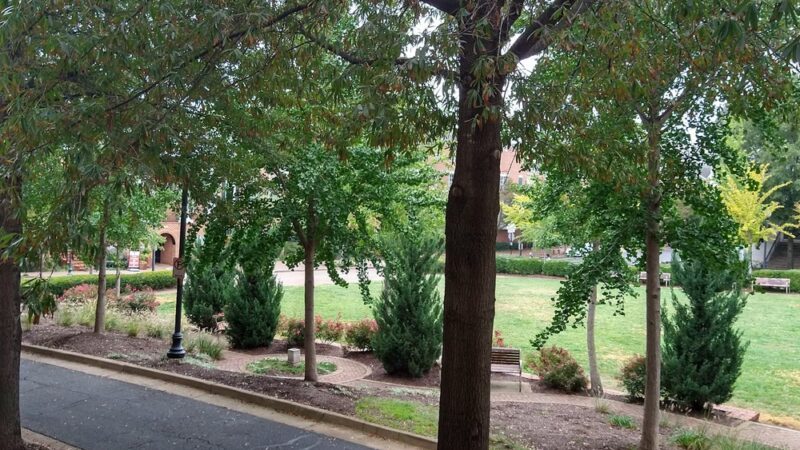 Avalon Park - Arlington, VA