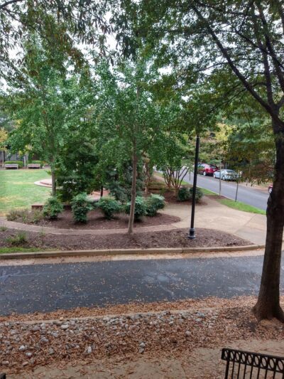 Avalon Park - Arlington, VA