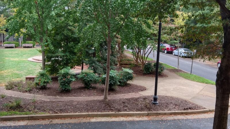 Avalon Park - Arlington, VA