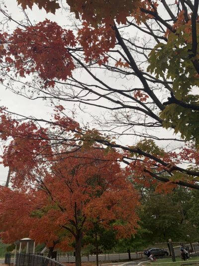 Fort Myer Heights Park - Arlington, VA