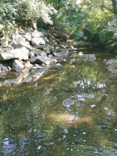 Fraser Park - Arlington, VA