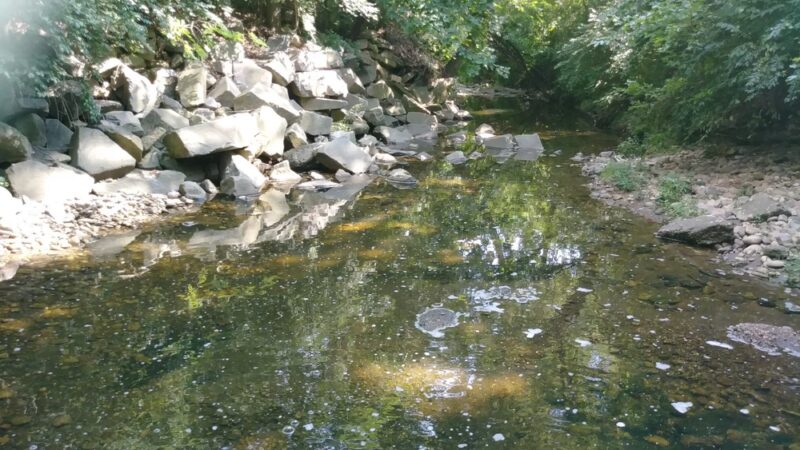 Fraser Park - Arlington, VA