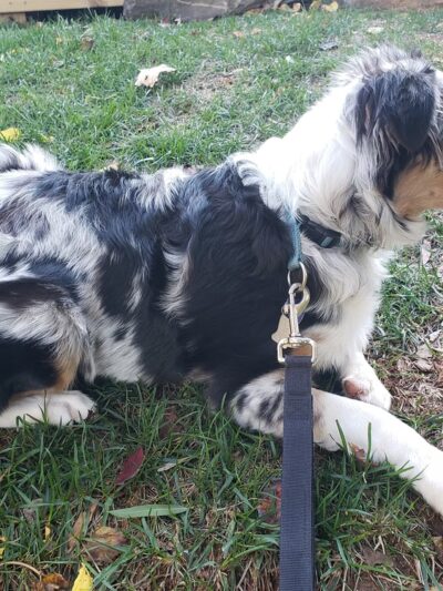 McCoy Park - Arlington, VA