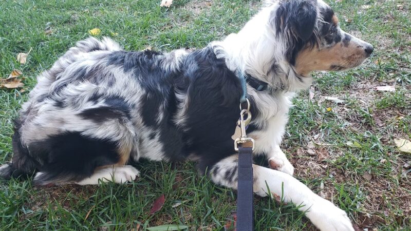 McCoy Park - Arlington, VA