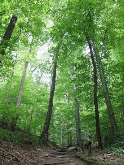 Potomac Overlook Regional Park - Arlington, VA