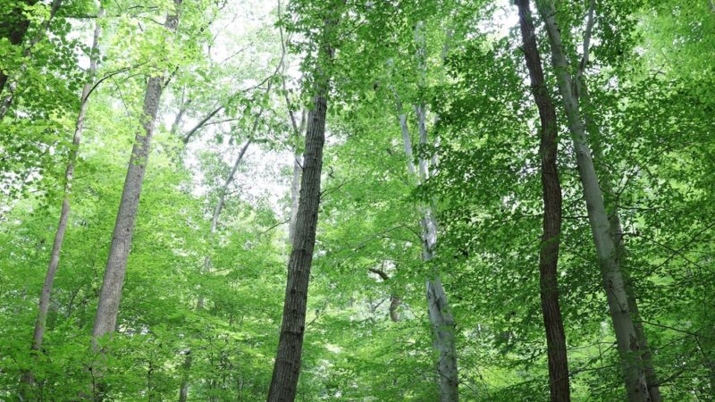 Potomac Overlook Regional Park - Arlington, VA