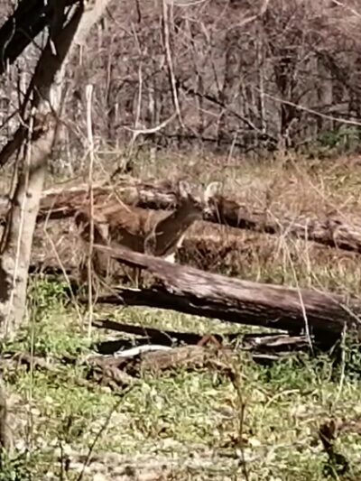 Potomac Overlook Regional Park - Arlington, VA