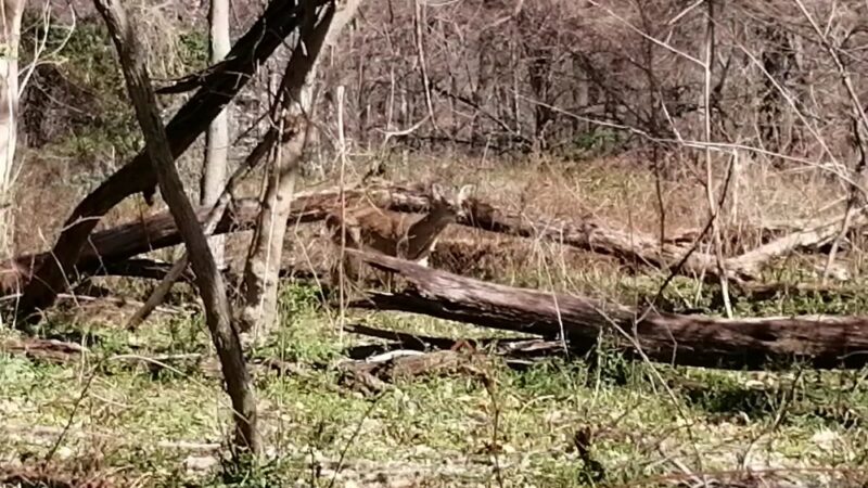 Potomac Overlook Regional Park - Arlington, VA