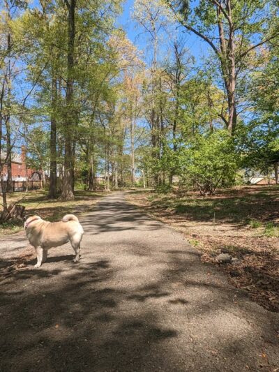 Slater Park - Arlington, VA