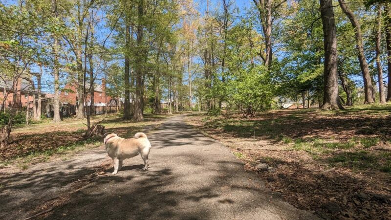 Slater Park - Arlington, VA