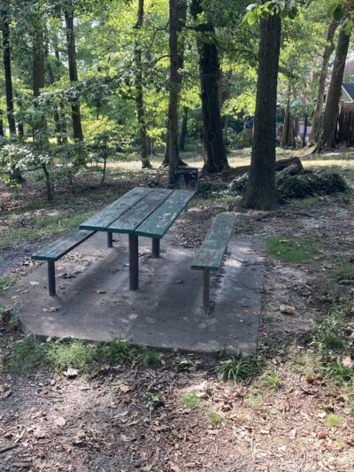 Slater Park - Arlington, VA