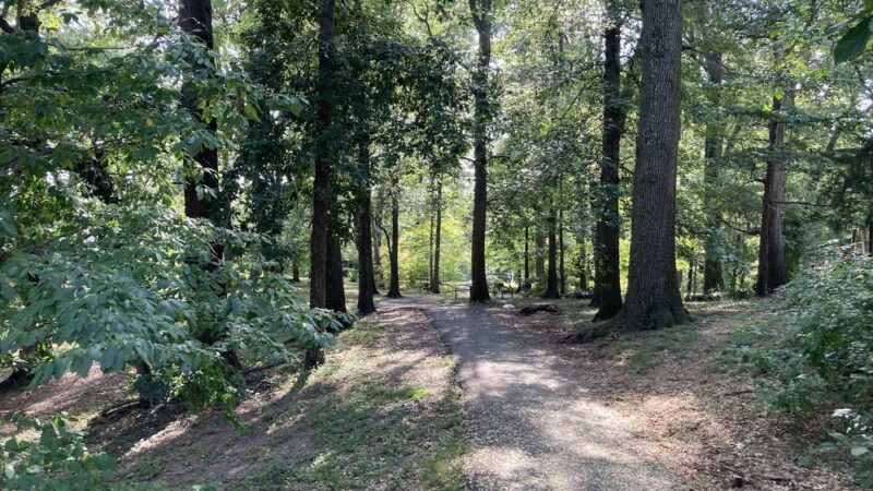 Slater Park - Arlington, VA