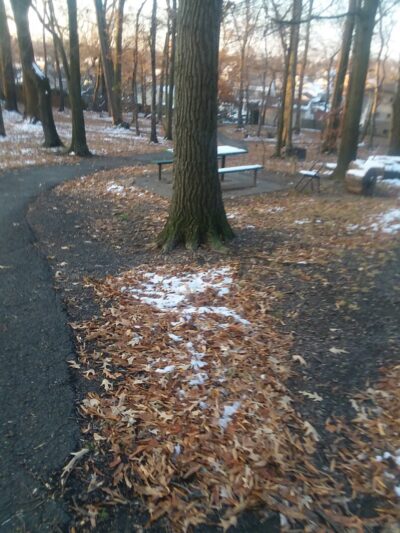 Slater Park - Arlington, VA