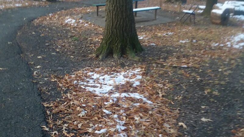 Slater Park - Arlington, VA