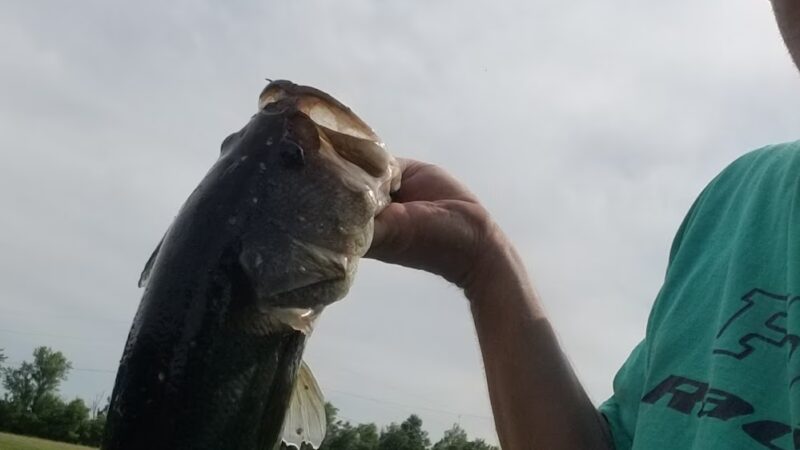 Joe Caputo Hookie Park - Arma, KS