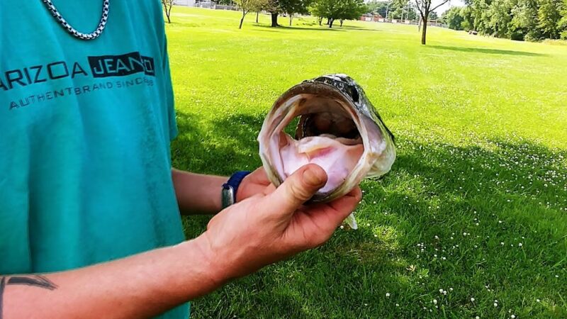 Joe Caputo Hookie Park - Arma, KS