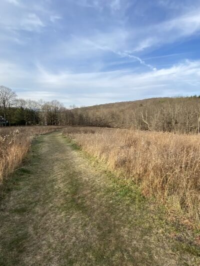 The Eugene and Agnes Meyer Nature Preserve - Armonk, NY