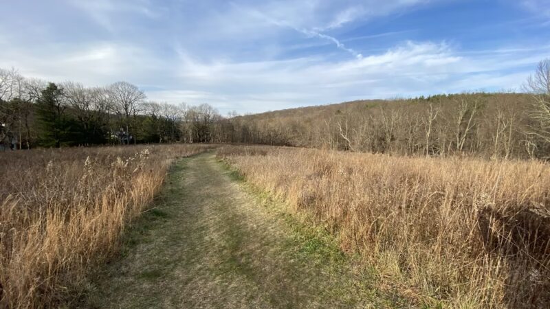 The Eugene and Agnes Meyer Nature Preserve - Armonk, NY