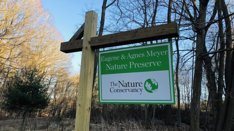 The Eugene and Agnes Meyer Nature Preserve - Armonk, NY