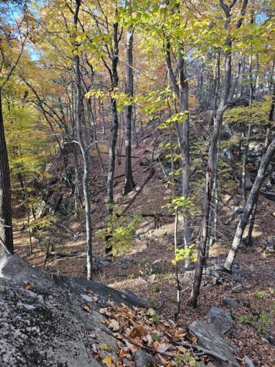 The Eugene and Agnes Meyer Nature Preserve - Armonk, NY