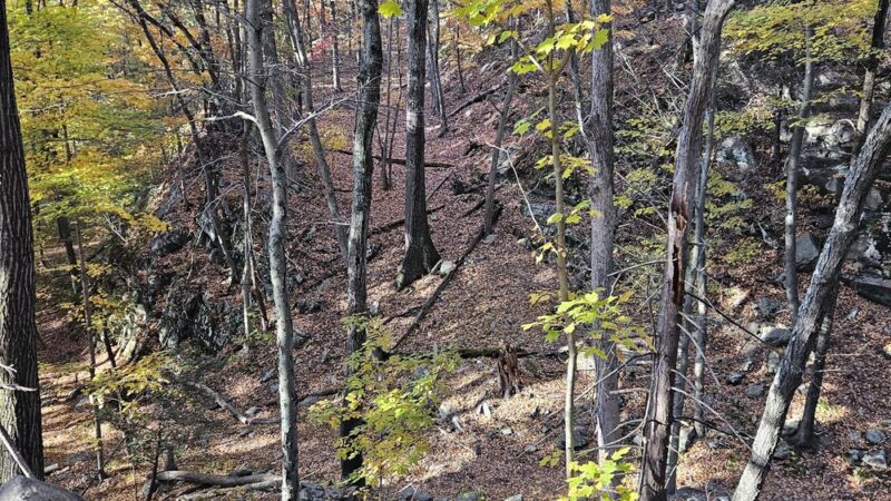 The Eugene and Agnes Meyer Nature Preserve - Armonk, NY