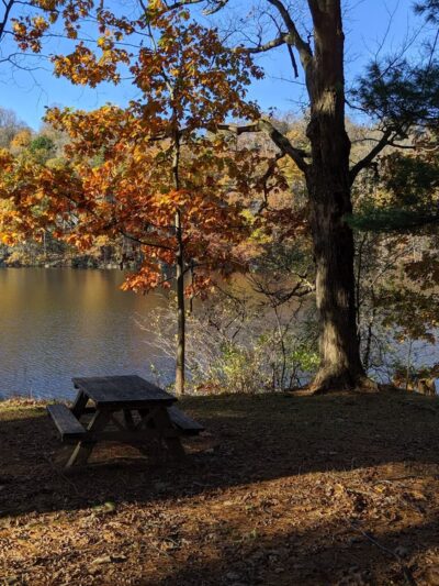 Wampus Pond Park - Armonk, NY
