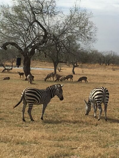 Armstrong - Armstrong, TX