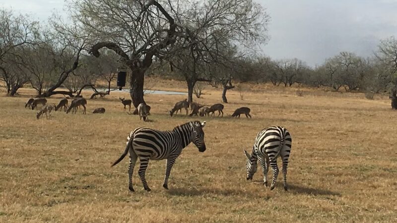 Armstrong - Armstrong, TX