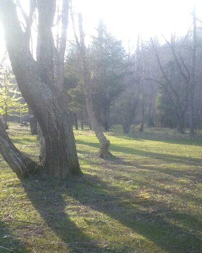 Rocky Run Landing - Arrington, VA