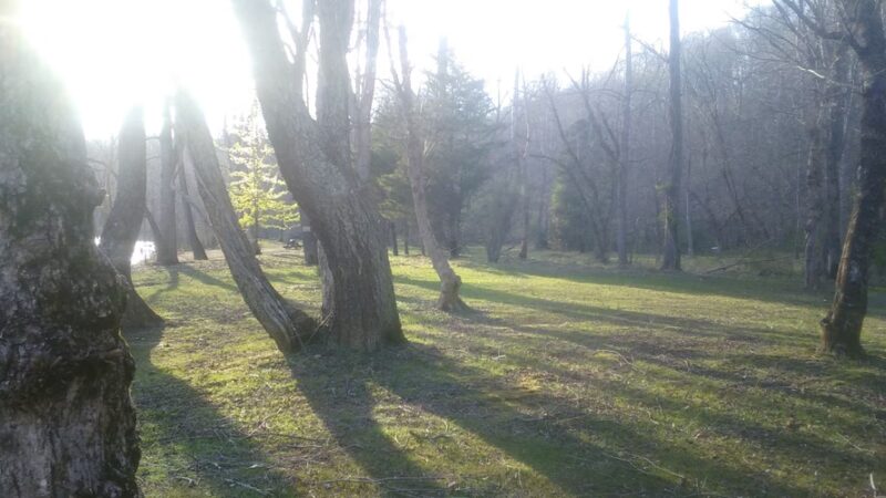 Rocky Run Landing - Arrington, VA