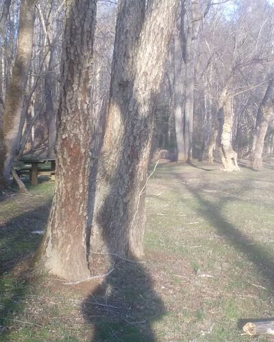 Rocky Run Landing - Arrington, VA
