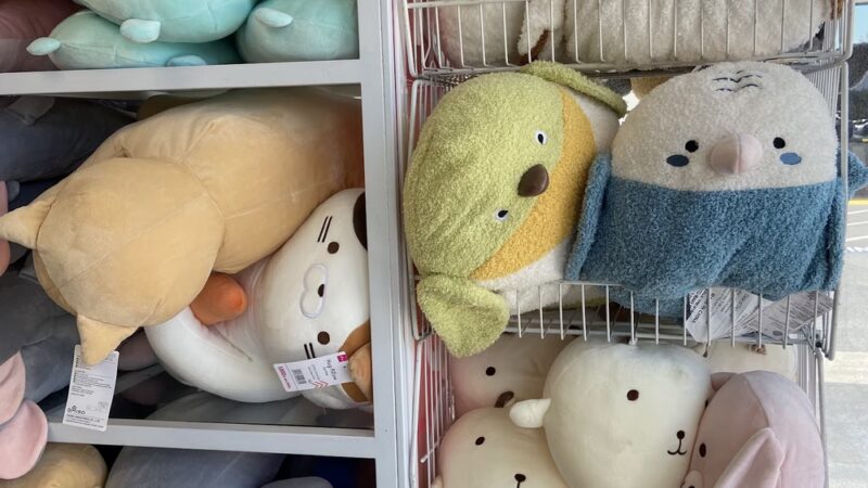 Daiso - Japanese Household Goods - Artesia, CA