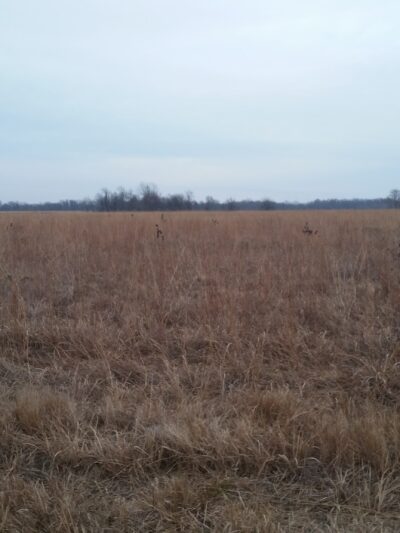 Wah-Sha-She Prairie State Natural Area - Asbury, MO