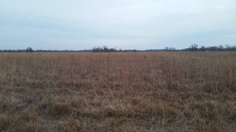 Wah-Sha-She Prairie State Natural Area - Asbury, MO
