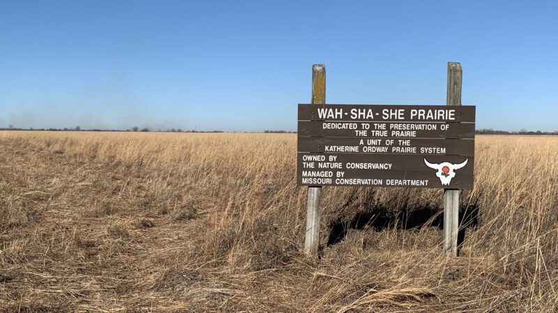 Wah-Sha-She Prairie State Natural Area - Asbury, MO