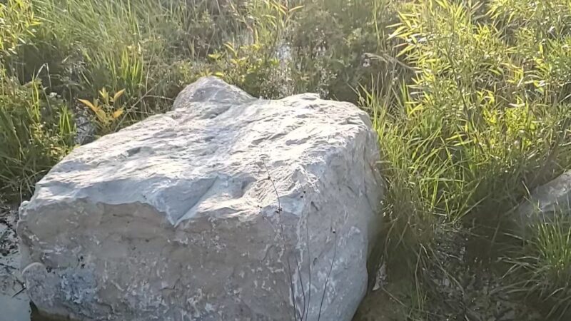 Wah-Sha-She Prairie State Natural Area - Asbury, MO