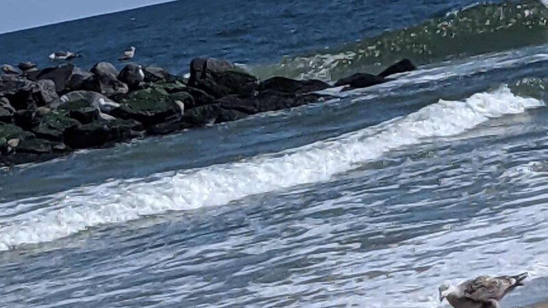 Asbury Park Beach - Asbury Park, NJ
