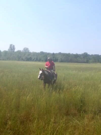 Ash Flat Ball Park - Ash Flat, AR