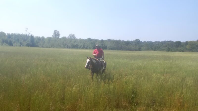 Ash Flat Ball Park - Ash Flat, AR