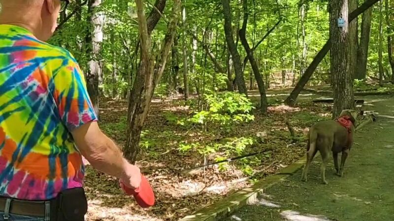 Purgatory Mountain Trail Head - Asheboro, NC