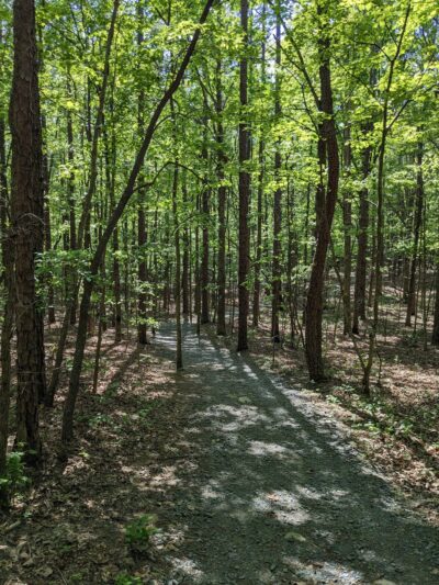 Purgatory Mountain Trail Head - Asheboro, NC