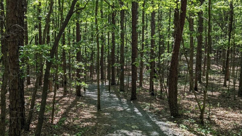 Purgatory Mountain Trail Head - Asheboro, NC