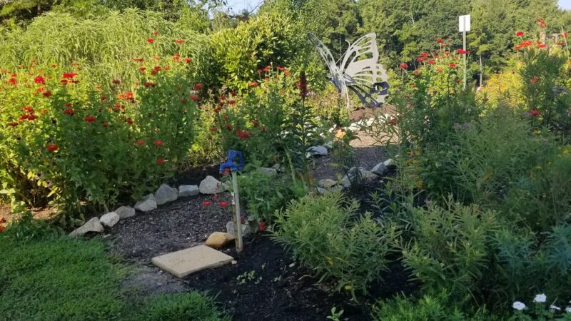 Solar Pointe - Asheboro, NC