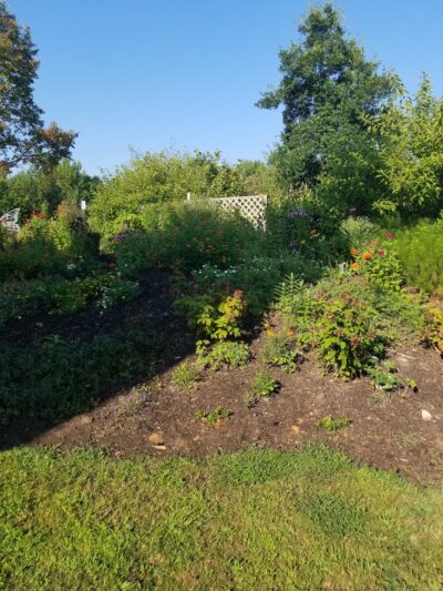 Solar Pointe - Asheboro, NC