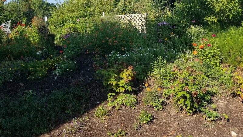 Solar Pointe - Asheboro, NC