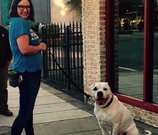 Southern Tails Dog School - Asheboro, NC