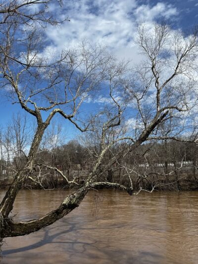 French Broad River Park - Asheville, NC